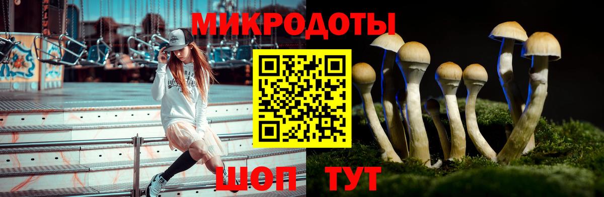 Галлюциногенные грибы прущие грибы Алапаевск